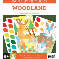 Cover Paint by Numbers: Woodland