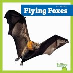 Flying Foxes