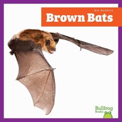 Cover Brown Bats