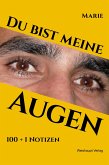 Du bist meine Augen (eBook, ePUB)