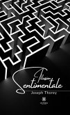 Illusion sentimentale (eBook, ePUB)
