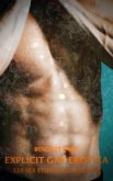 Explicit Gay Erotica (eBook, ePUB)