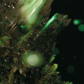 Idsungwüssä Idsungwüssä