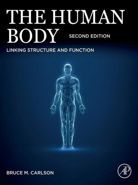 The Human Body (eBook, ePUB)