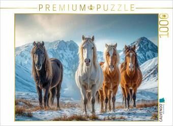 CALVENDO Puzzle Gemeinsam in die kalte Jahreszeit 1000 Teile Lege-Größe 64x48cm Foto-Puzzle für glückliche Stunden CALVENDO Puzzle Gemeinsam in die kalte Jahreszeit 1000 Teile Lege-Größe 64x48cm Foto-Puzzle für glückliche Stunden