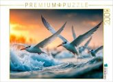 CALVENDO Puzzle Ob sich hier die Fische fangen lassen   2000 Teile Lege-Größe 90x67cm Foto-Puzzle für glückliche Stunden CALVENDO Puzzle Ob sich hier die Fische fangen lassen   2000 Teile Lege-Größe 90x67cm Foto-Puzzle für glückliche Stunden