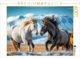 CALVENDO Puzzle Kräfte messen   1000 Teile Lege-Größe 64x48cm Foto-Puzzle für glückliche Stunden CALVENDO Puzzle Kräfte messen   1000 Teile Lege-Größe 64x48cm Foto-Puzzle für glückliche Stunden