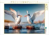 CALVENDO Puzzle Seeschwalbengetratsche   1000 Teile Lege-Größe 64x48cm Foto-Puzzle für glückliche Stunden CALVENDO Puzzle Seeschwalbengetratsche   1000 Teile Lege-Größe 64x48cm Foto-Puzzle für glückliche Stunden
