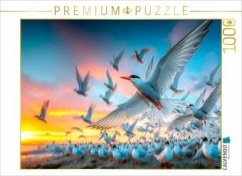 Cover CALVENDO Puzzle Platzsuche in der Kolonie   1000 Teile Lege-Größe 64x48cm Foto-Puzzle für glückliche Stunden