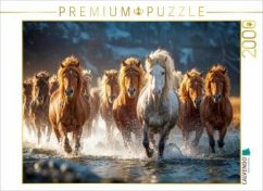 Cover CALVENDO Puzzle Mähnen fliegen im Sommerwind   2000 Teile Lege-Größe 90x67cm Foto-Puzzle für glückliche Stunden