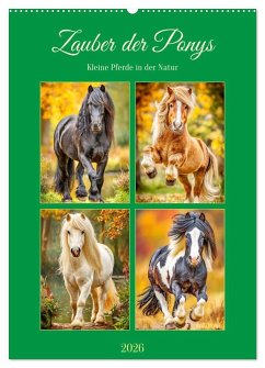 Zauber der Ponys. Kleine Pferde in der Natur (Wandkalender 2026 DIN A2 hoch), CALVENDO Monatskalender