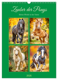 Zauber der Ponys. Kleine Pferde in der Natur (Wandkalender 2026 DIN A3 hoch), CALVENDO Monatskalender