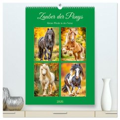 Zauber der Ponys. Kleine Pferde in der Natur (hochwertiger Premium Wandkalender 2026 DIN A2 hoch), Kunstdruck in Hochglanz