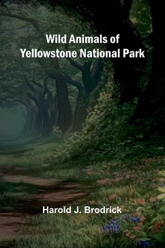 Cover Wild Animals of Yellowstone National Park