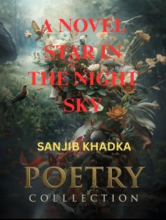 A novel star in the night sky (eBook, ePUB) - Khadka, Sanjib