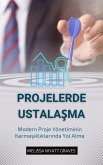 Projelerde Ustalasma (eBook, ePUB)