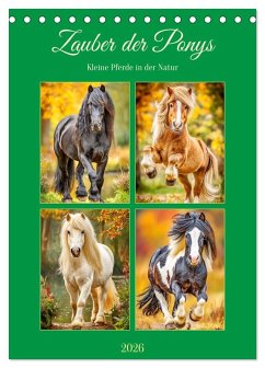 Zauber der Ponys. Kleine Pferde in der Natur (Tischkalender 2026 DIN A5 hoch), CALVENDO Monatskalender
