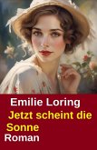 Jetzt scheint die Sonne: Roman (eBook, ePUB)