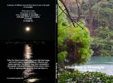 From Rain to Moonlight (eBook, ePUB) From Rain to Moonlight (eBook, ePUB)