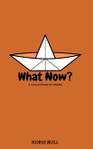 What Now? (eBook, ePUB)