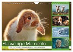 Flauschige Momente (Wandkalender 2026 DIN A4 quer), CALVENDO Monatskalender