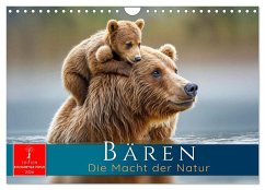 Bären - Die Macht der Natur (Wandkalender 2026 DIN A4 quer), CALVENDO Monatskalender