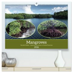 Cover Mangroves - Valuable Habitat (High Quality Premium Wall Calendar 2026 DIN A2 landscape),CALVENDO 12 Month Wall Calendar