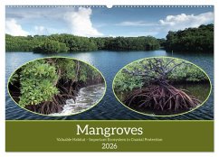 Cover Mangroves - Valuable Habitat (Wall Calendar 2026 DIN A2 landscape), CALVENDO 12 Month Wall Calendar