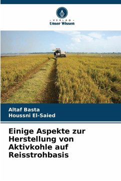 Cover Einige Aspekte zur Herstellung von Aktivkohle auf Reisstrohbasis