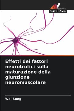 Effetti dei fattori neurotrofici sulla maturazione della giunzione neuromuscolare - Song, Wei