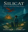 Silicat (eBook, ePUB) - Bild 1