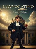 L'avvocatino (eBook, ePUB)