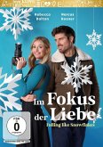 Im Fokus der Liebe - Falling Like Snowflakes