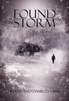Cover Found in the Storm (eBook, ePUB)