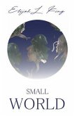 Small World (eBook, ePUB)