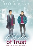 A Shelter of Trust: Nate und Xavier (eBook, ePUB)