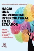 Hacia una universidad intercultural en el Ecuador (eBook, ePUB)