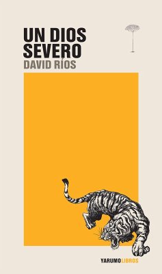 Un dios severo (eBook, ePUB) - Ríos, David