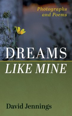 Dreams Like Mine (eBook, ePUB)