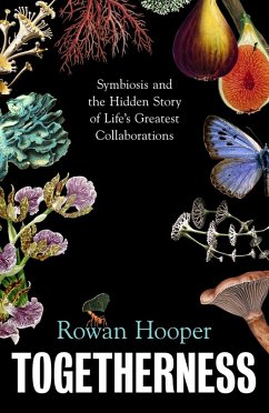 Togetherness (eBook, ePUB) - Hooper, Rowan