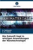 Die Zukunft liegt in winzigen Anwendungen der Nanotechnologie