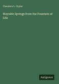 Wayside Springs from the Fountain of Life
