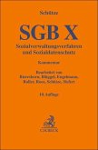 SGB X