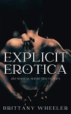Explicit Erotica (eBook, ePUB)