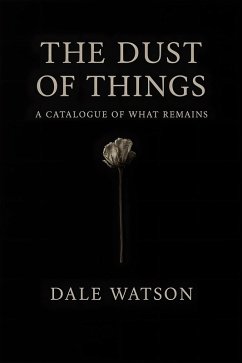 Cover The Dust You Do Not See (eBook, ePUB)