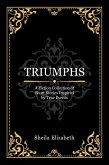 TRIUMPHS (eBook, ePUB)