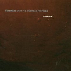 Cover What The Darkness Proposes