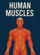 Overview about muscles (eBook, ePUB) - Bild 1