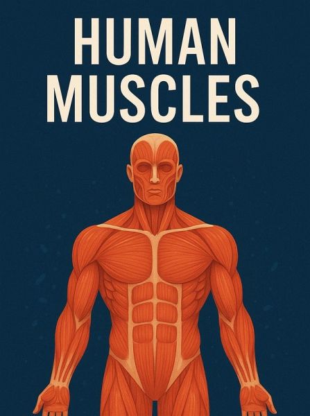 Overview about muscles (eBook, ePUB)