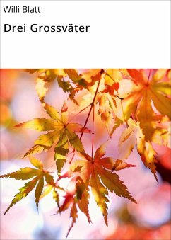 Cover Drei Grossväter (eBook, ePUB)